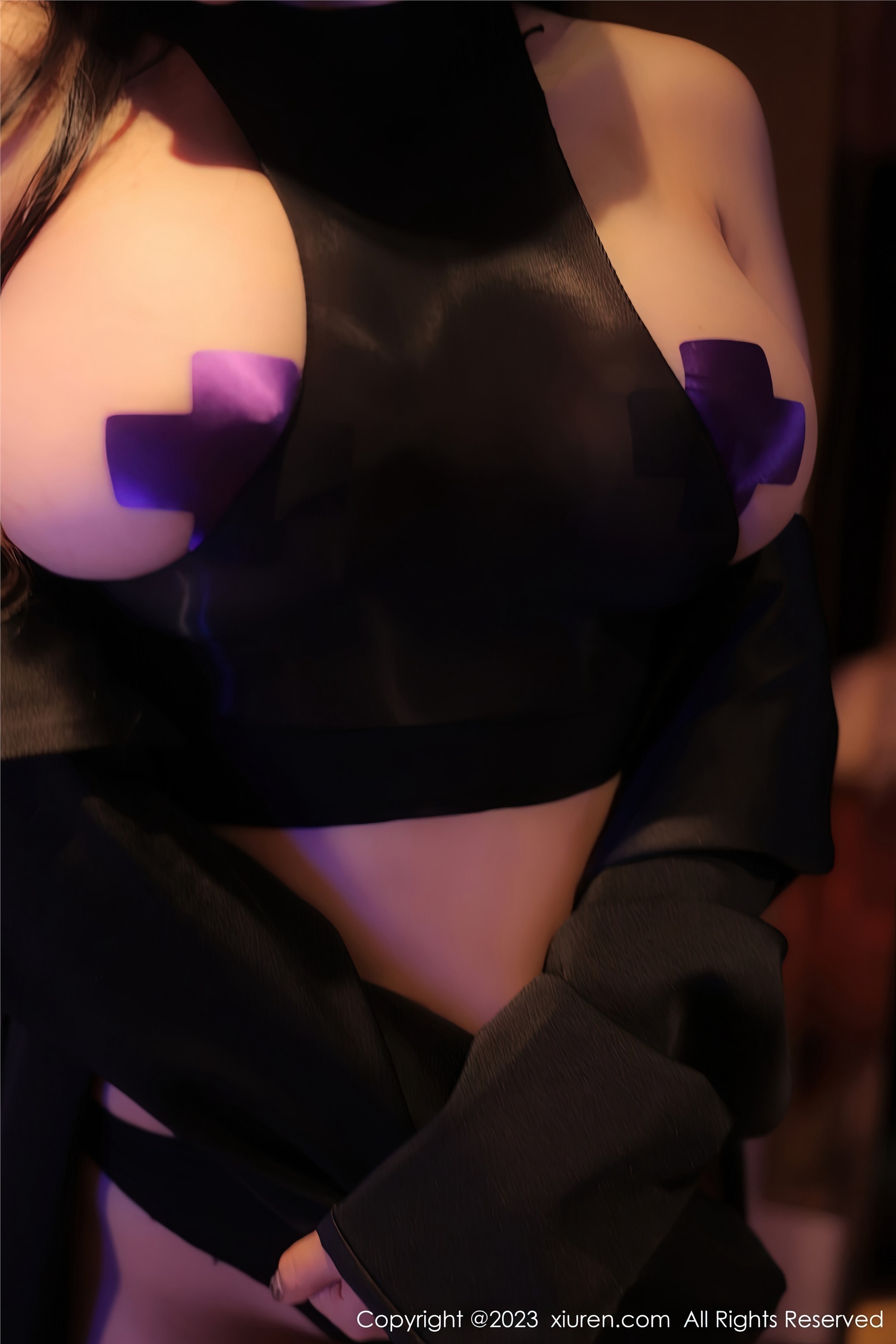 Xiuren秀人网 2023.01.17 NO.6143 田冰冰